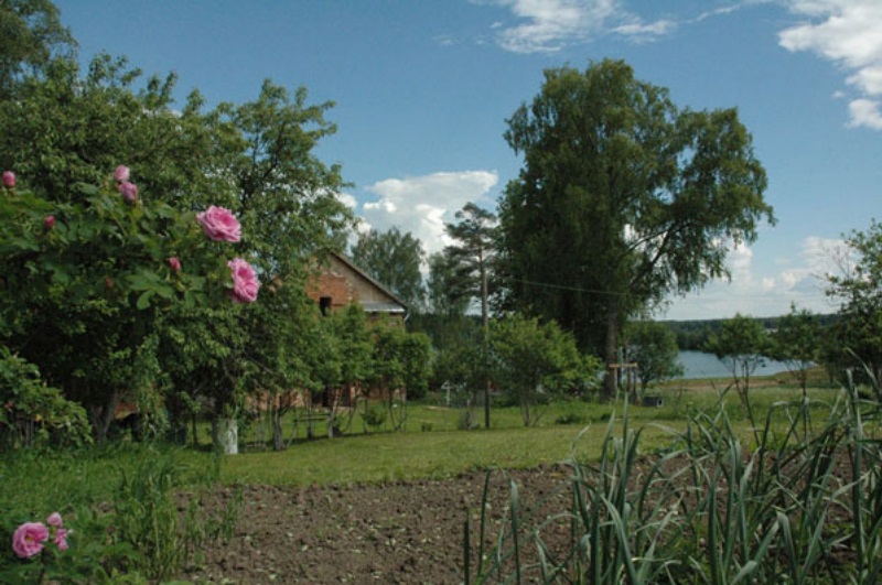Фотография 0500