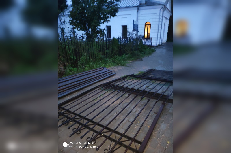 Фотография 3100